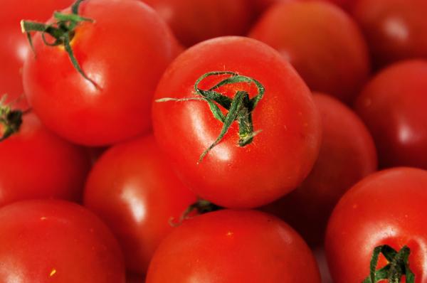 Tomatoes