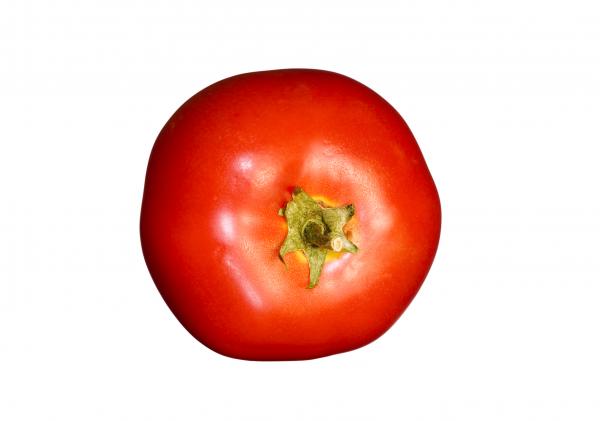 tomatoes