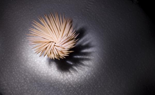toothpick