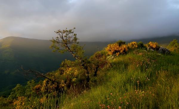 Top of hill