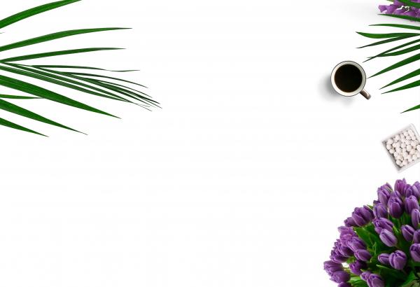 Top-view Photography of White Ceramic Mug On White Background