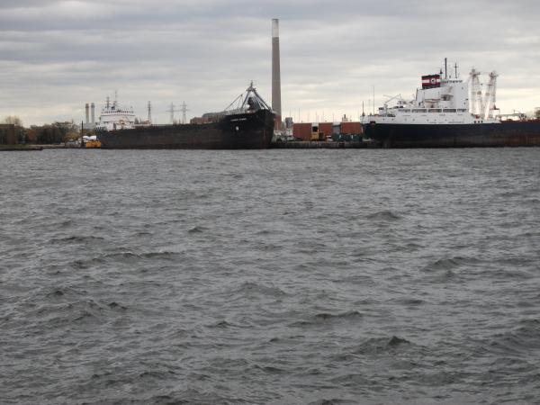 Toronto harbour, 2010 10 28 (18)