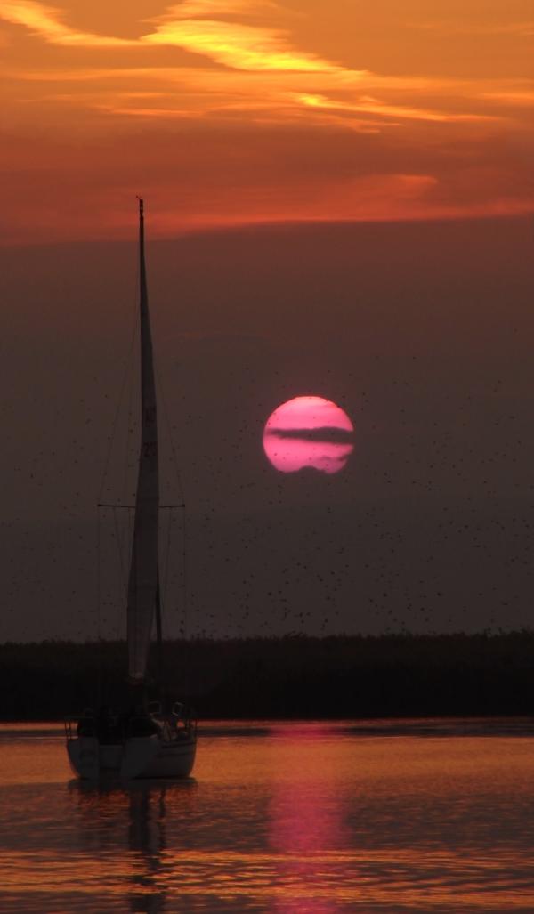 Towards the sun
