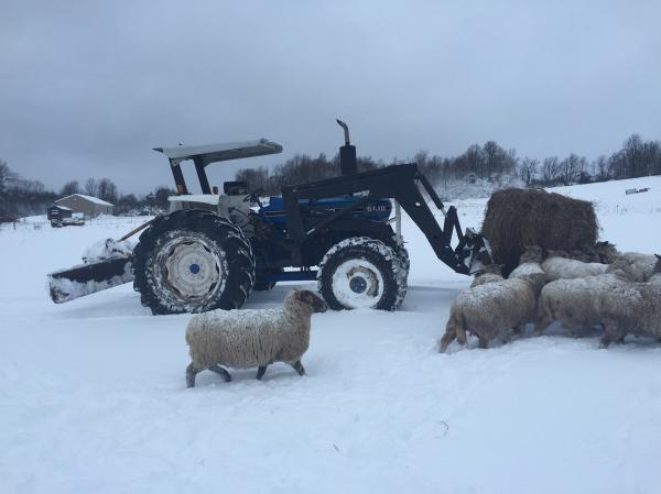 Tractor in winter