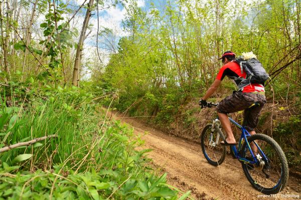 Trail Biking