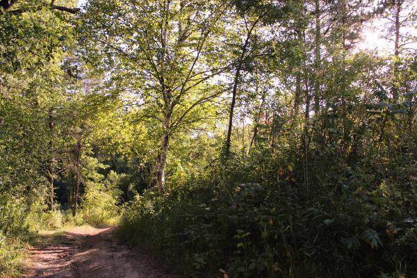Trail to the Tunnel