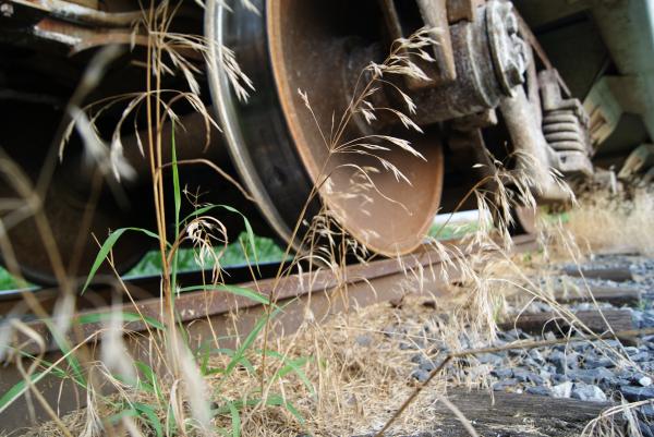 Train Axle
