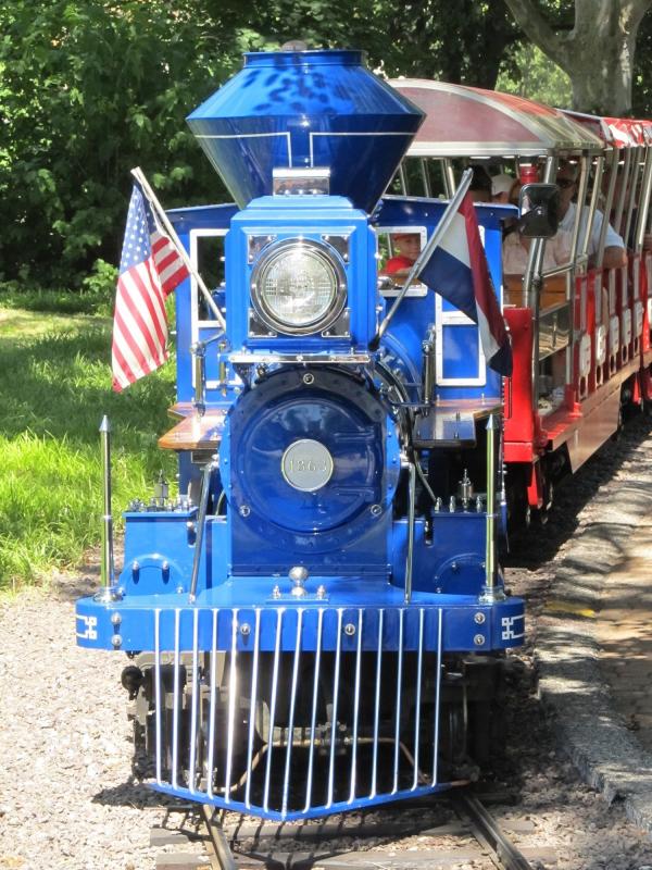 Train in the Park