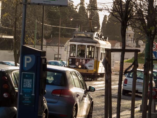 Tram under evening sun