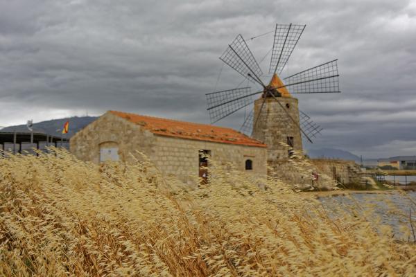 Trapani