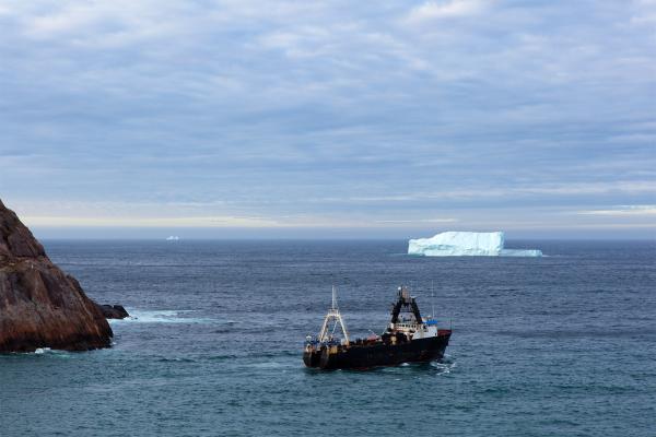 Trawler and iceberg