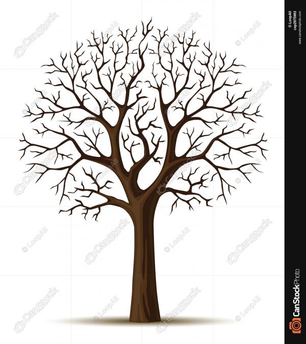 Tree branches