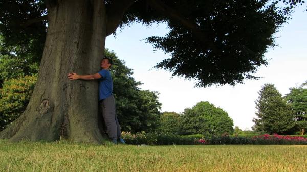 Tree Hugging