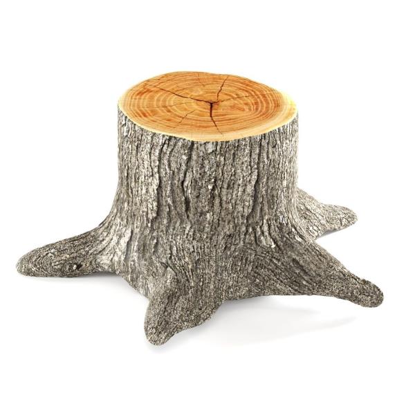 Wooden stump