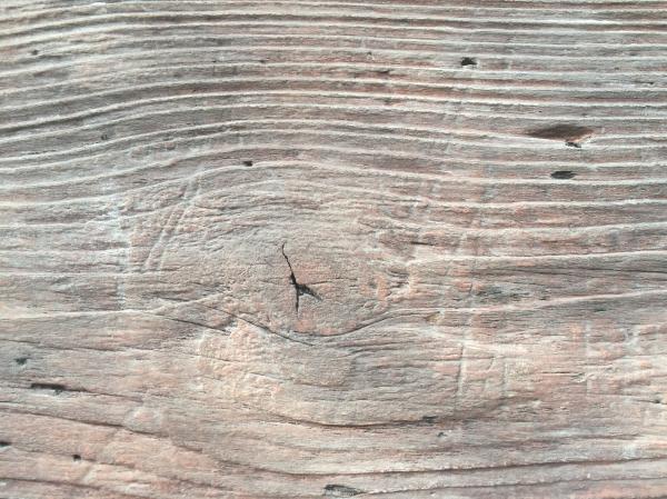 tree texture