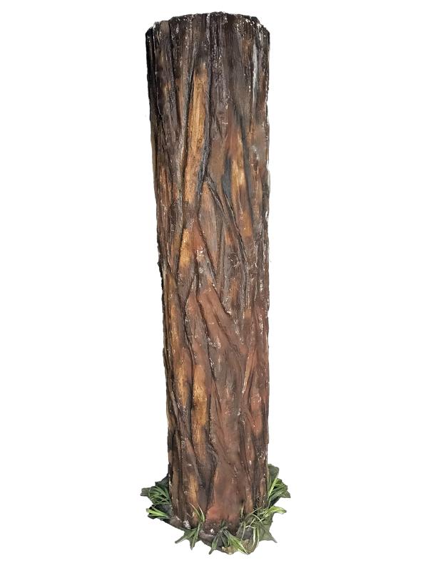 Tree trunk