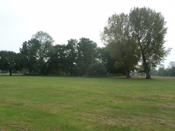 Trees