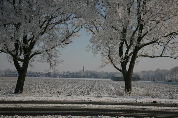 Treeview Zevenhoven