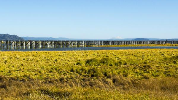 Trestle Bay, Oregon