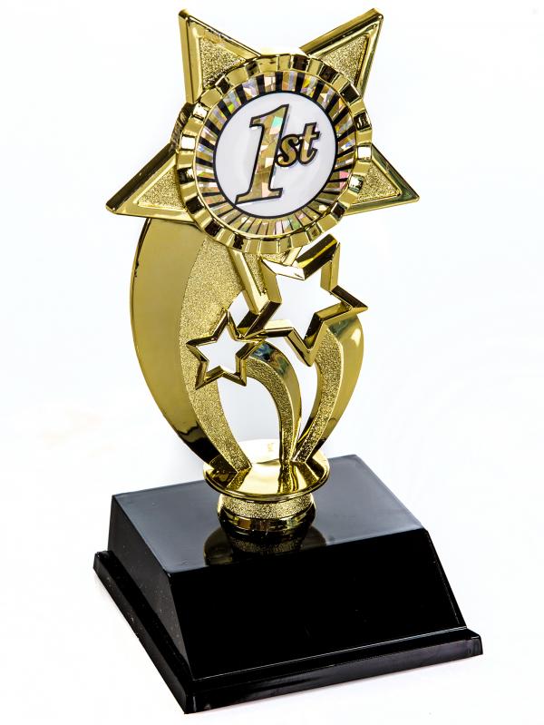 Trophy Award