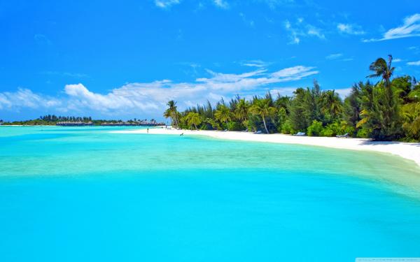 Tropical bay.