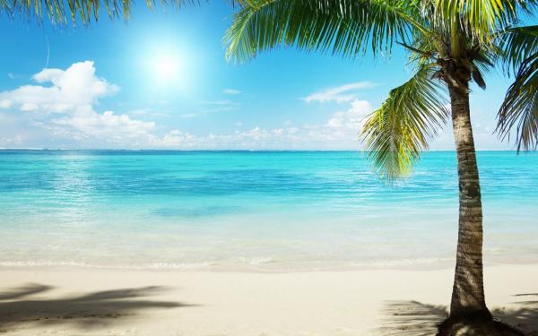 Tropical Beach