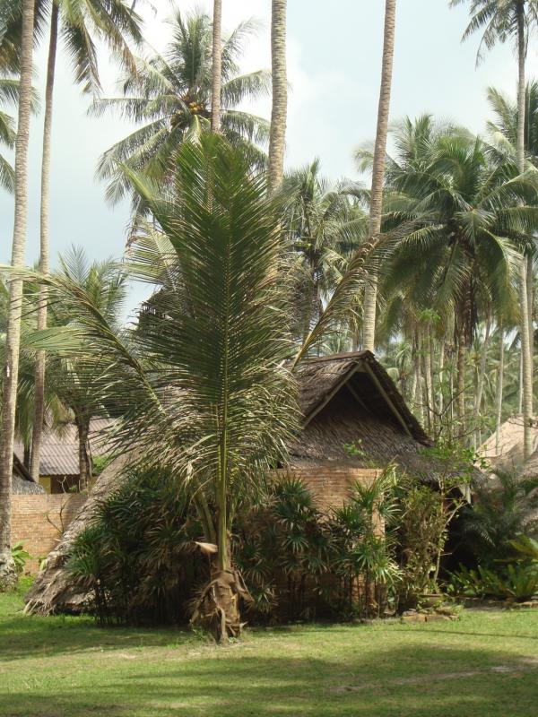 Tropical Beach Hut