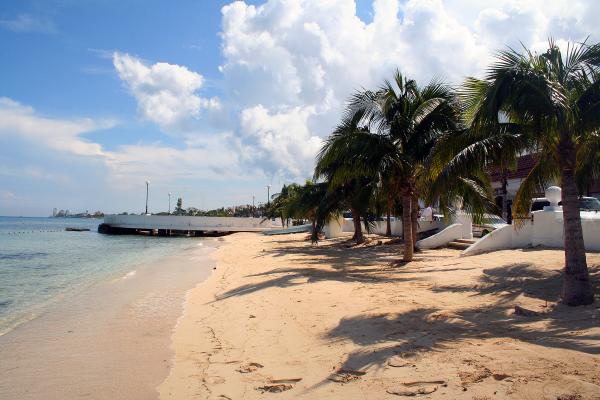 Tropical beach with palm trees