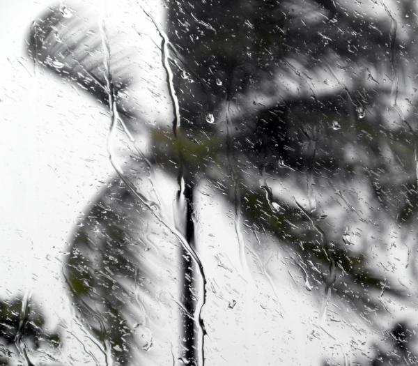 Tropical Storm Window Raindrops