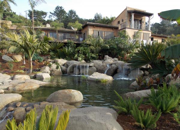Tropical Water Garden