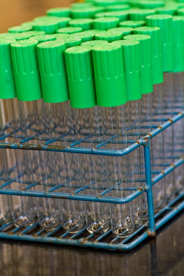 Tubes