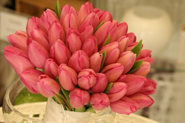 Tulips bouquets