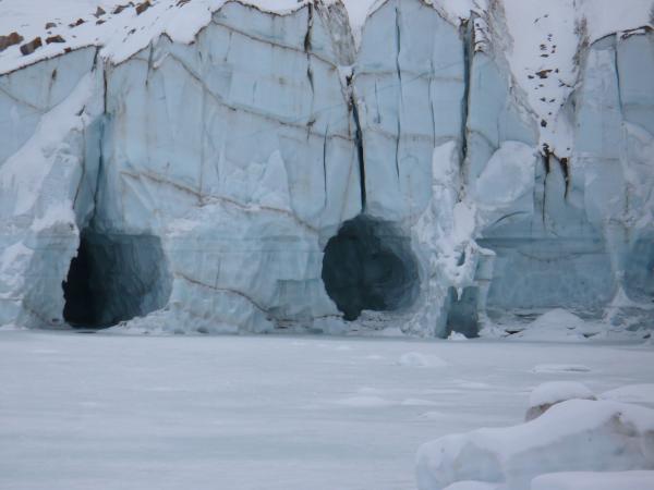 Tunnels under Angel Glacier