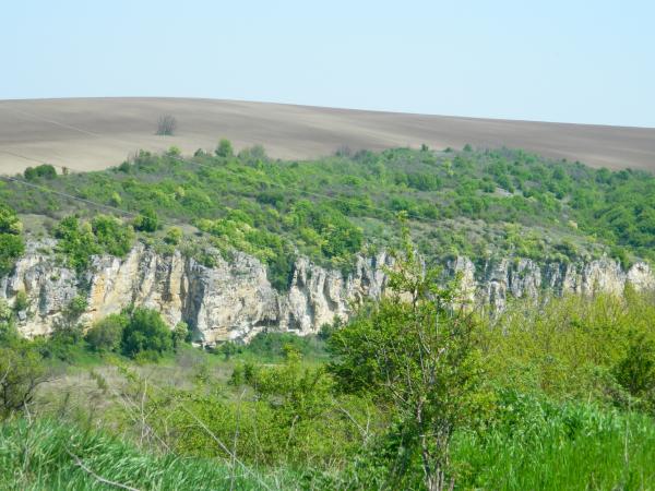 Turkey Green Nature