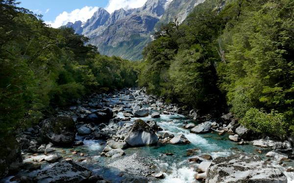 Tutuko River Fiordland National Park NZ