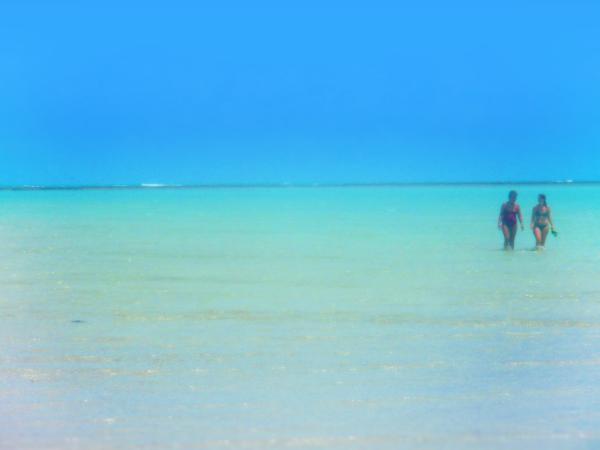 Two Women on the Beach - Hazy Vintage Washed-out Looks