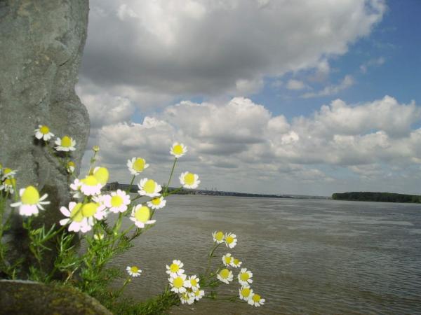 Under Sky, over river