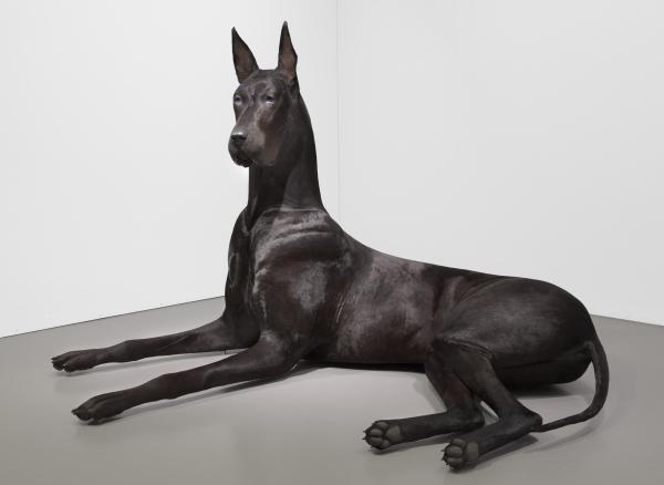 Untitled Dog
