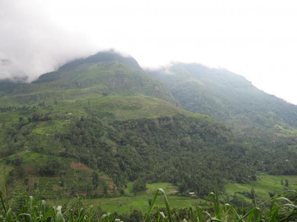 Upcountry Scene in Sri laka