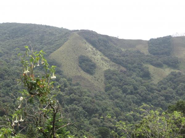 Upcountry Scene in Sri laka
