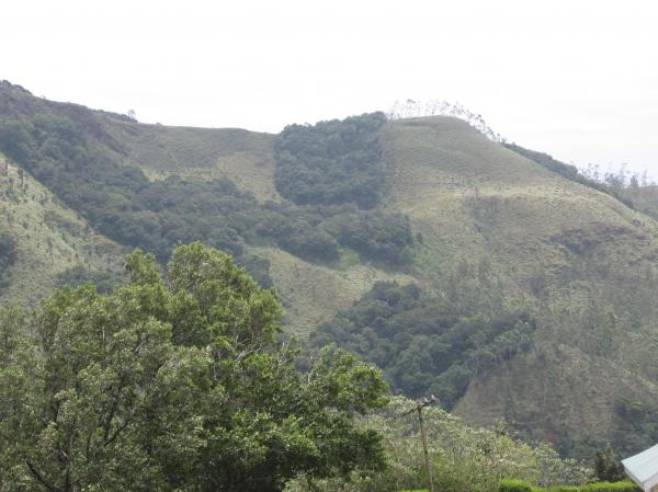 Upcountry Scene in Sri laka