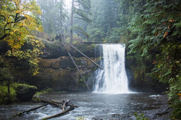 Upper North Falls, Silver Creek Park Oregon, Autumn Rain