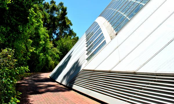 Urban Building