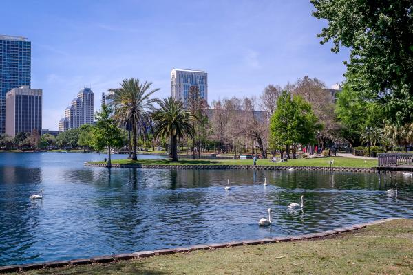Urban lake