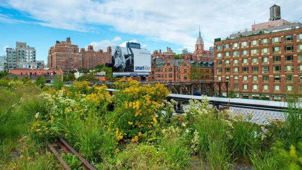 Urban Vegetation