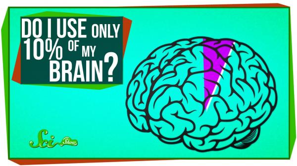 Use your brain