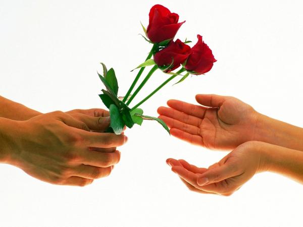 Valentine rose