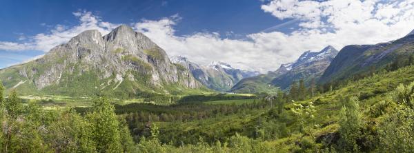 Valley Landscape