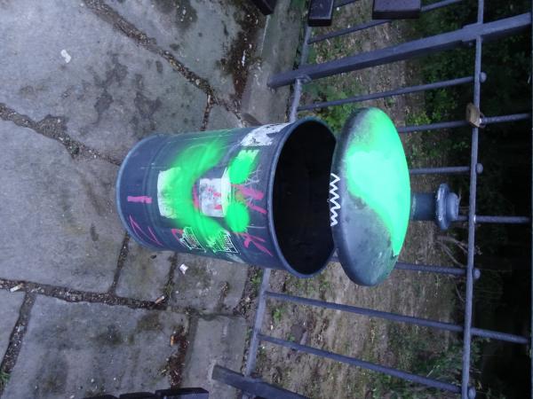 Vandalism on benches and water pollution in the park