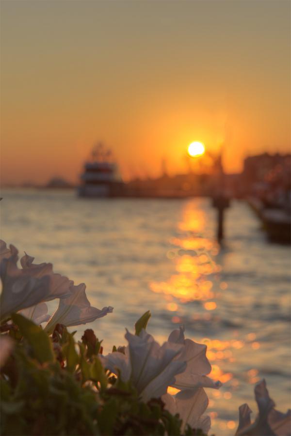 Venice Sunset